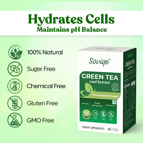 Green Tea Weight Management Instant Fizz Tea Tablet 40