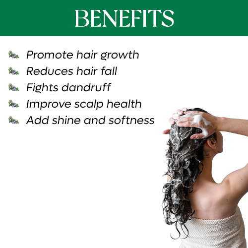 Rosemary Shampoo